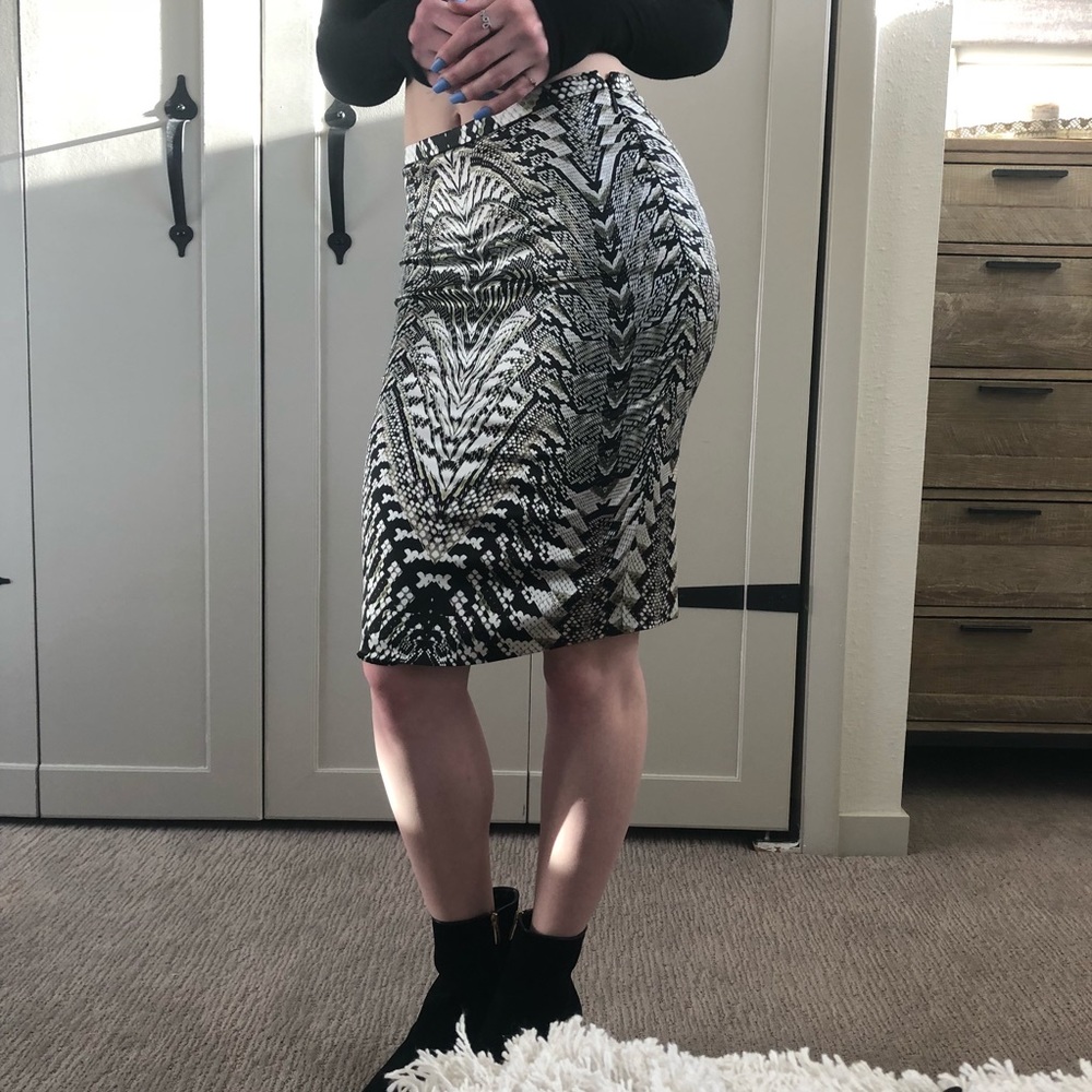 Roberto Cavalli skirt